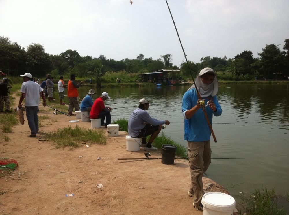 แม็ทซ์แก้มือปลาสวาย20,000ที่บ่อCH.อาทิตนี้