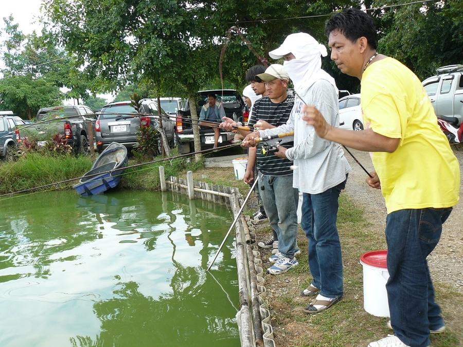 2 พ.ย.นี้มาลุ้น 20000 กะปลาแจ๊คพอต ที่บ่อจ้าวซัน สระบุรีกันนะครับ