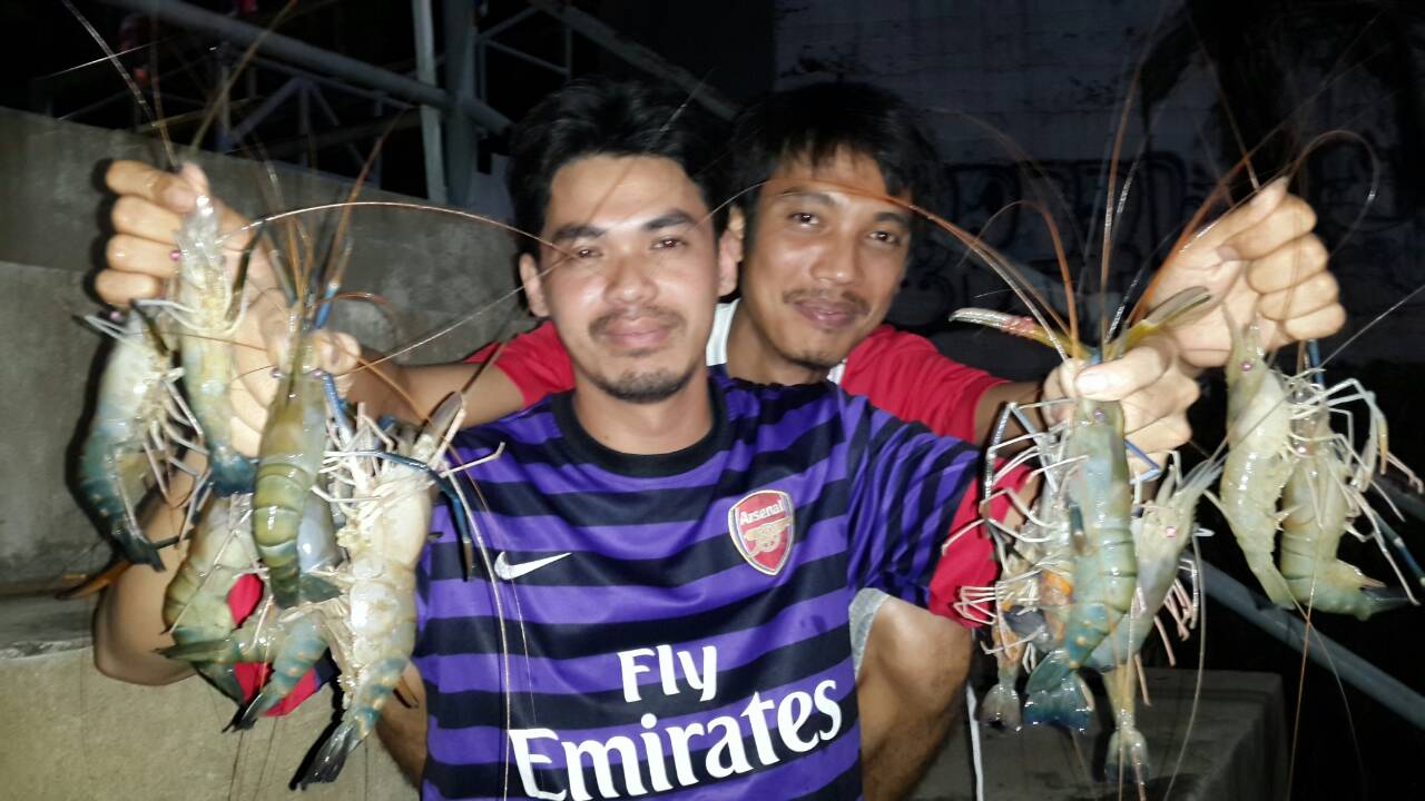 กุ้งๆๆๆๆๆ(7)  อย่าเพิ่งเบื่อนะ