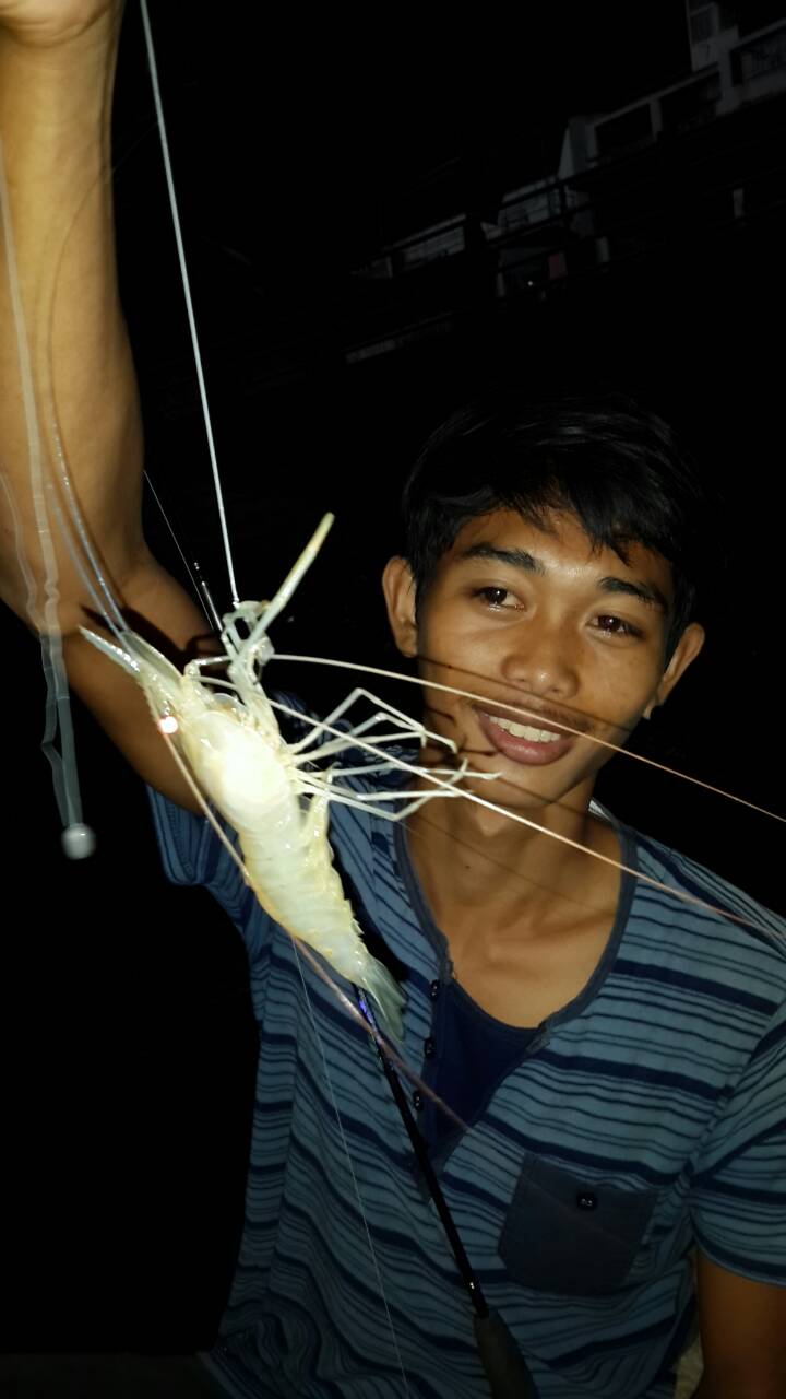 กุ้งๆๆๆๆๆ(7)  อย่าเพิ่งเบื่อนะ