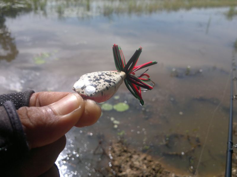 "Longkordu"โดดลั่นสนั่นนา..