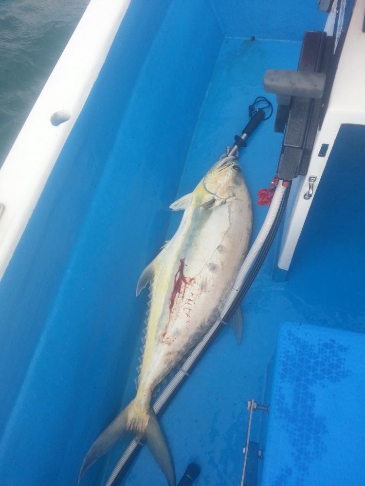 Phangan Jigging Boat 8