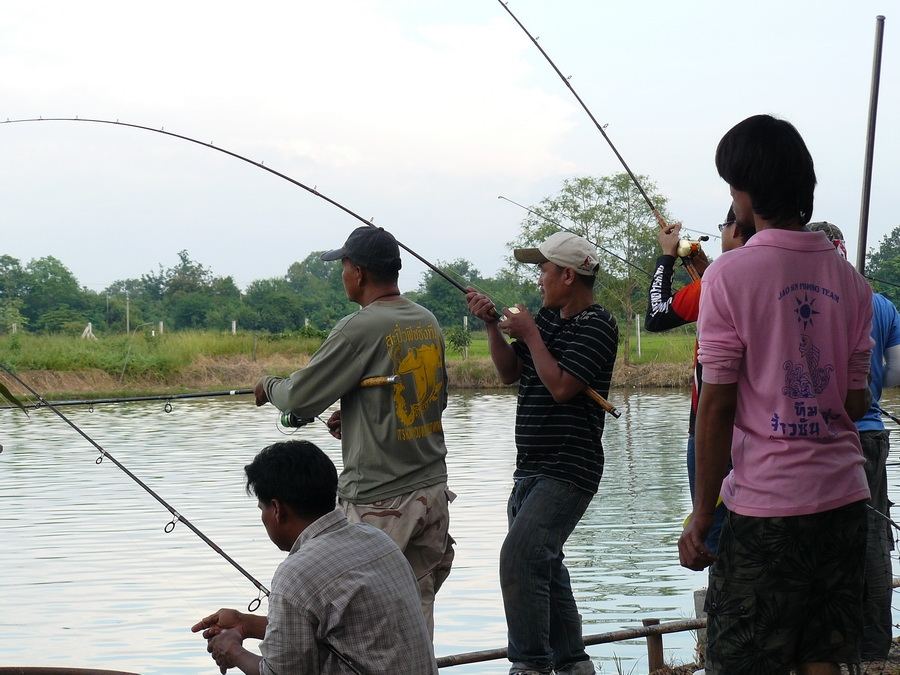 23 พ.ย.นี้ 600 ลุ้น 20,000 + ปลาแจ๊คพอต ที่บ่อจ้าวซันฟิชชิ่ง สระบุรีนะครับ