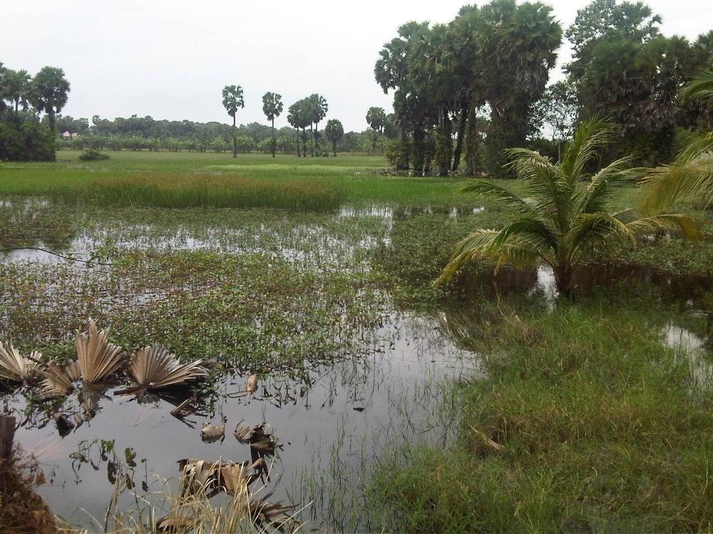 ในวันฟ้าครึ้มและฝนปรอย(เพิ่มรูปจากเมื่อตอนสาย ๆครับ)