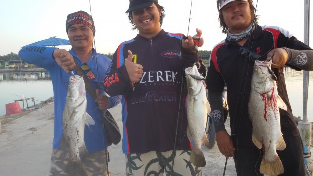 3หนุ่ม 3มุม กับกระพงบ่อ VIP กินเหยื่อ FISHING4U ถึง 3ตัวพร้อมกัน