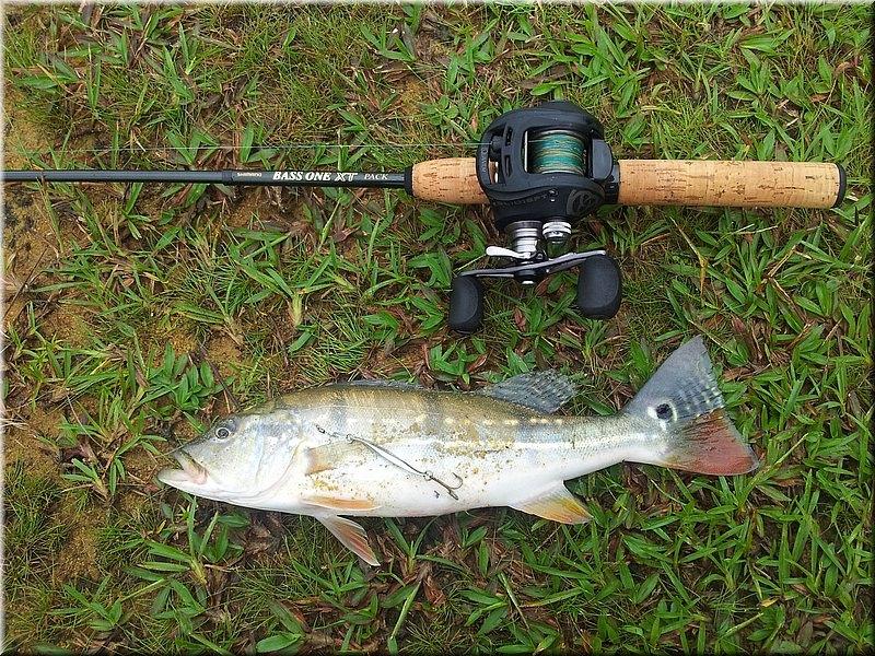  คัน shimano bass one xt แบบในรูป ดีไหมครับ