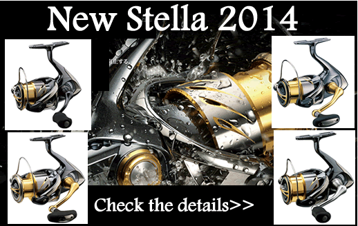 หาเนื้อคู่stella2014ให้ที่คับน้าๆ