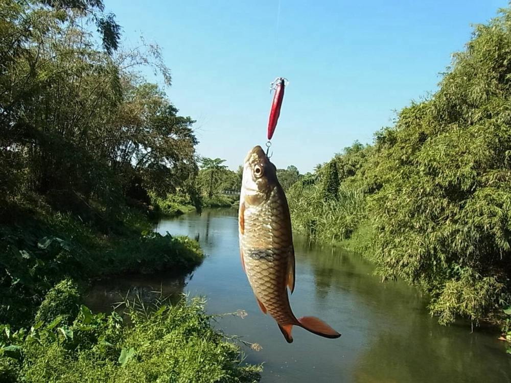 ทริปส่งท้ายปี กระสูบนครนายก ชิวๆ