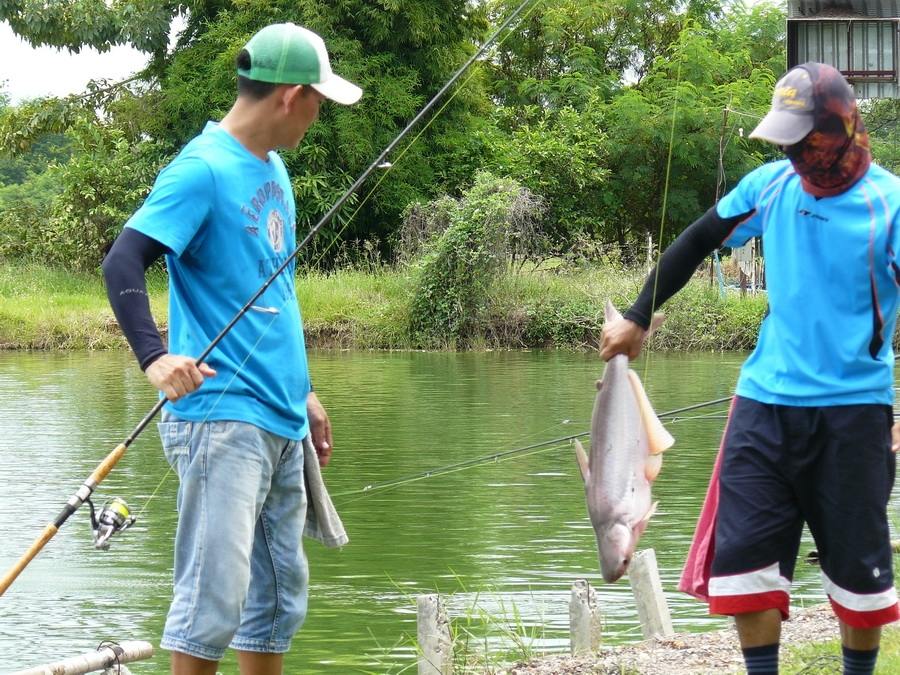 ทิดที่ 11 ม.ค นี้ 600 ลุ้น 30,000 ที่บ่อจ้าวซันฟิชชิ่ง สระบุรี