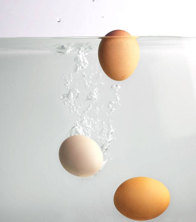 เกร็ดความรู้ 8 : วิธีเช็คอายุไข่ไก่