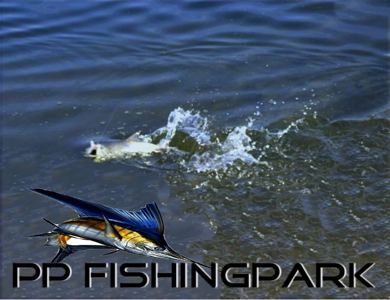 pp fishingpark สัญจร วันอาทิตย์ ที่ 15 ภุมภาพันธ์ 2558 