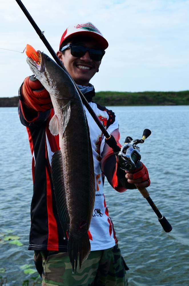 .....  ปลุกใจ ! ชะโดป่า ^^ บ่อทราย ^^ Giant SnakeHead