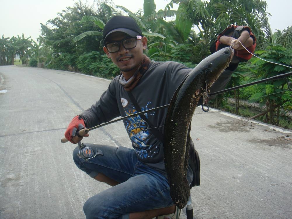 หมายข้างทาง ยังมันได้อีก / SnakeHead Angler Club