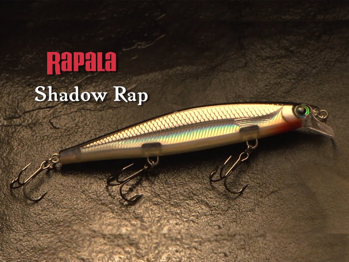Rapala shadow Rap