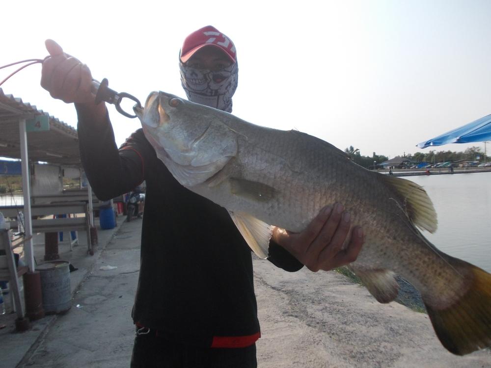 นานๆที ของสมาชิกชาว เเก๊งค์ Kon - Rim - Thang Fishing Gang ที่บ่อ VIP 