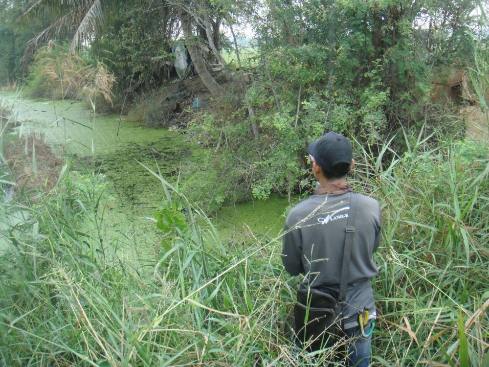 ถูกหวยคับวันนี้ / SnakeHead Angler Club 