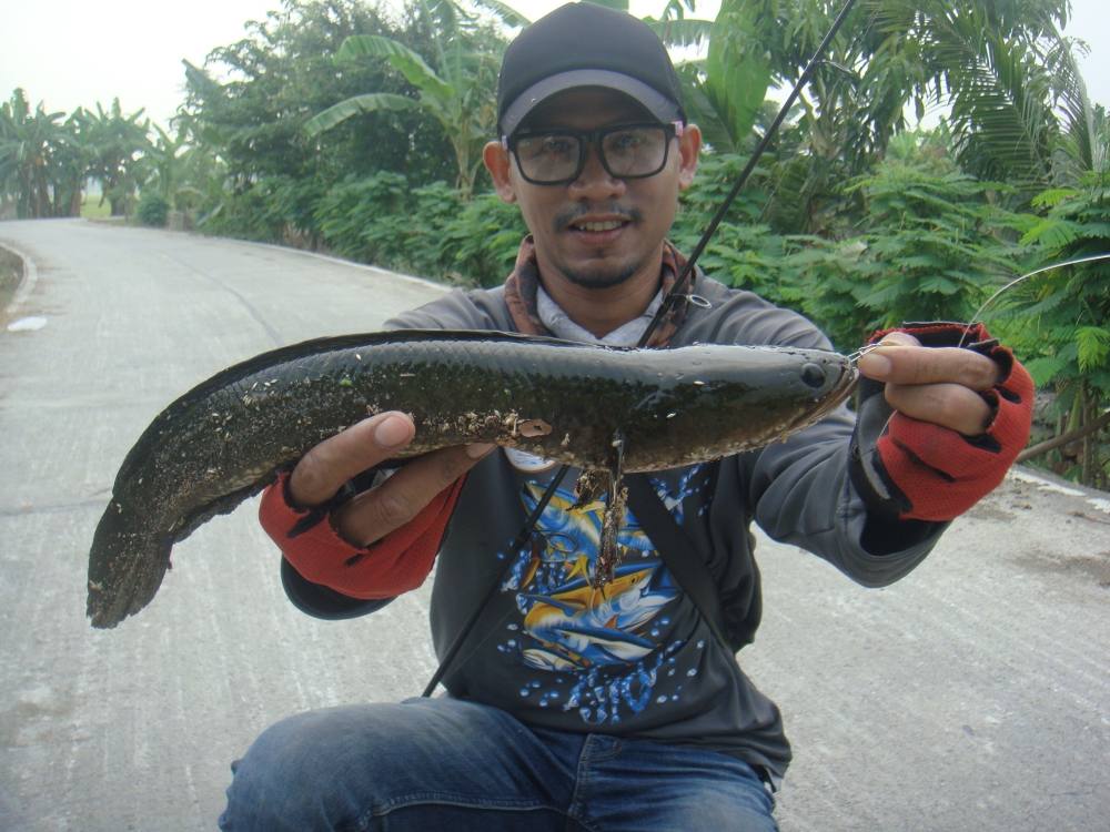 หมายนี้ ดียังไง / SnakeHead Angler Club