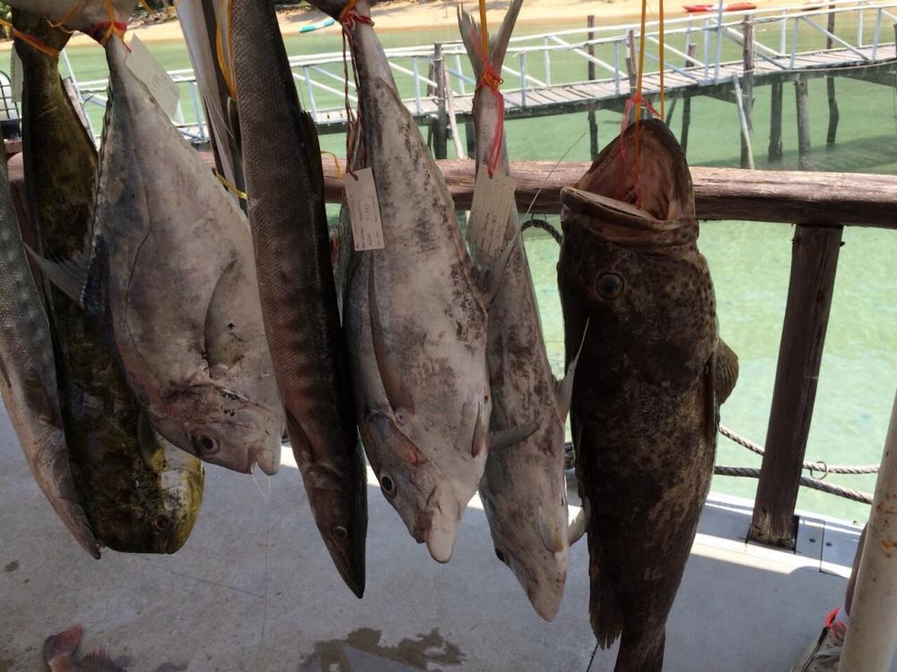 งานนานาชาติทะเลตราดครั้งที่ 6 จังหวัดตราด