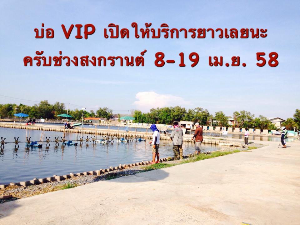 เลขเด็ดที่บ่อ VIP 1,100 ตัวต้อนรับสงกรานต์ครับ