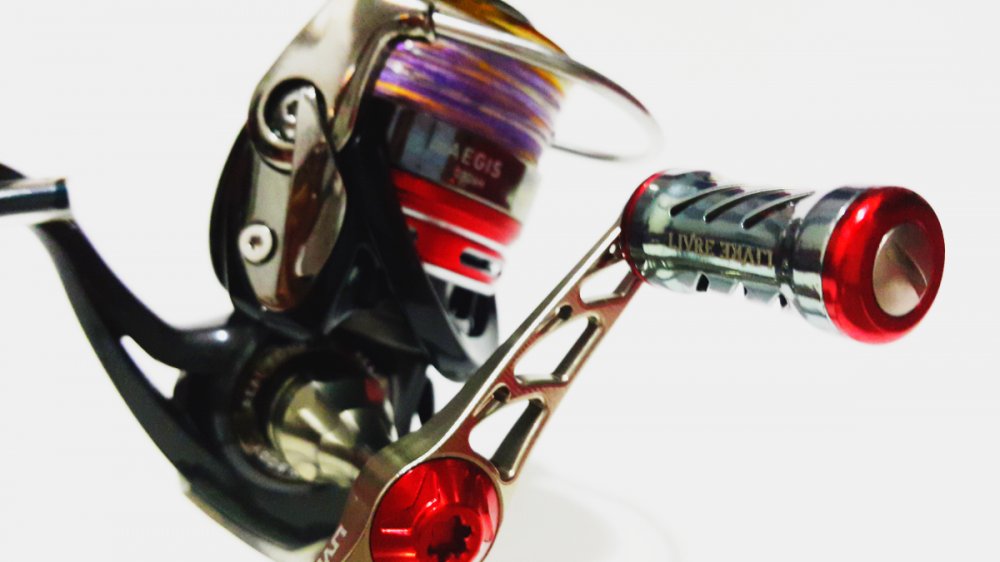 Project Daiwa Spin...by Ryujin