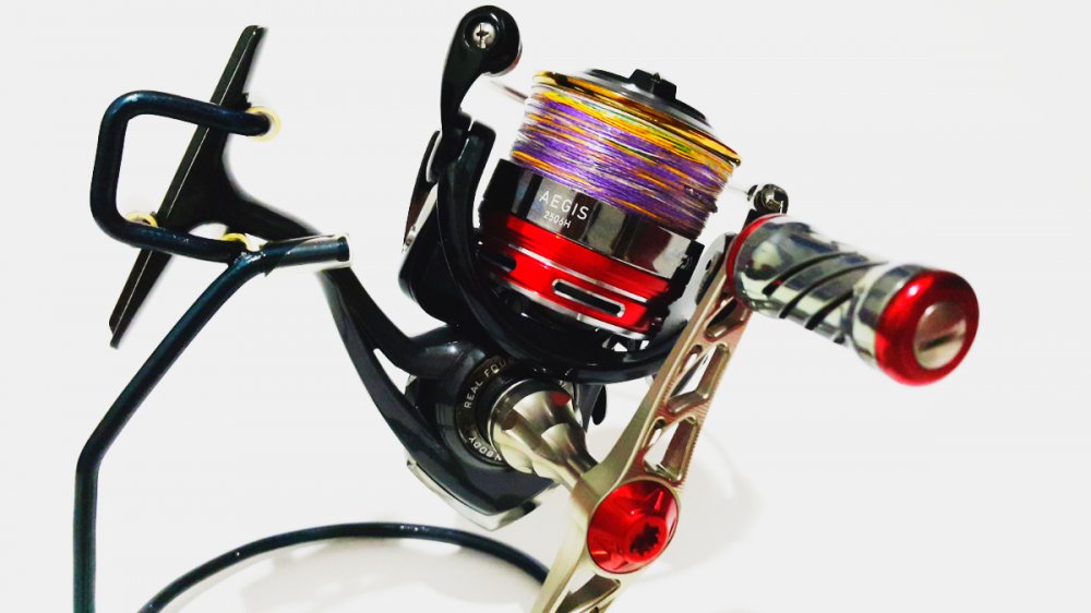 Project Daiwa Spin...by Ryujin