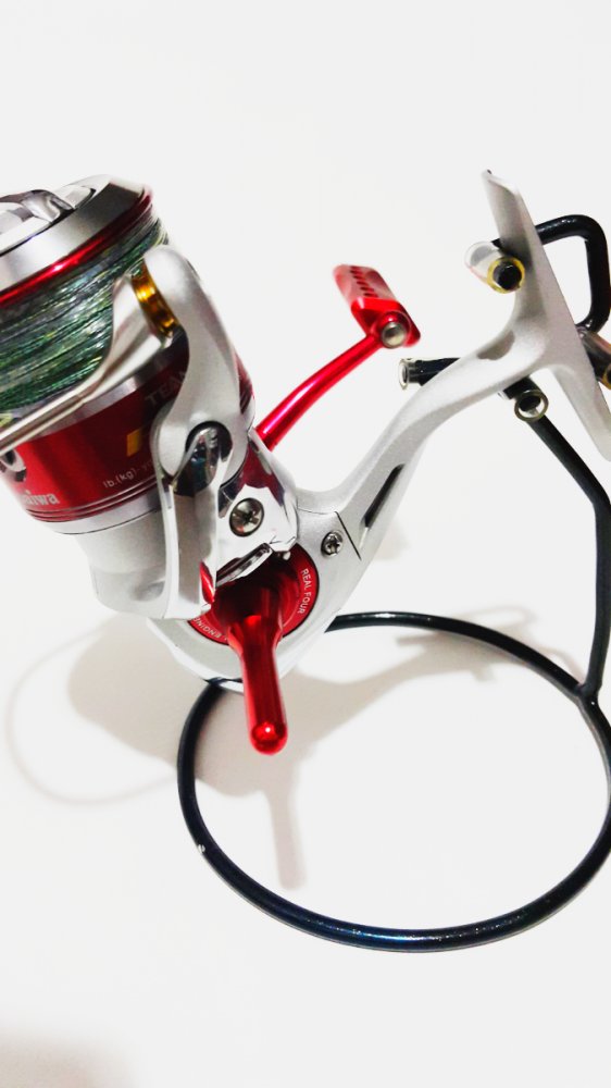 Project Daiwa Spin...by Ryujin