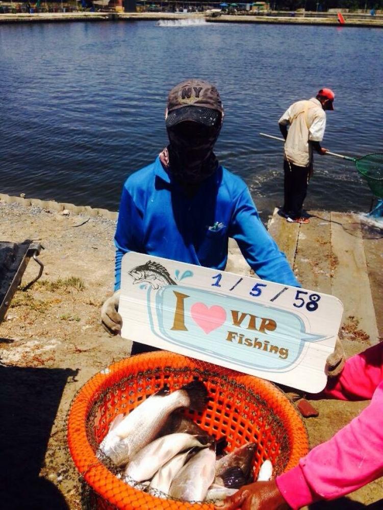 VIP ลงปลาซิง มันส์เว่อร์ ปลอดแห้ว