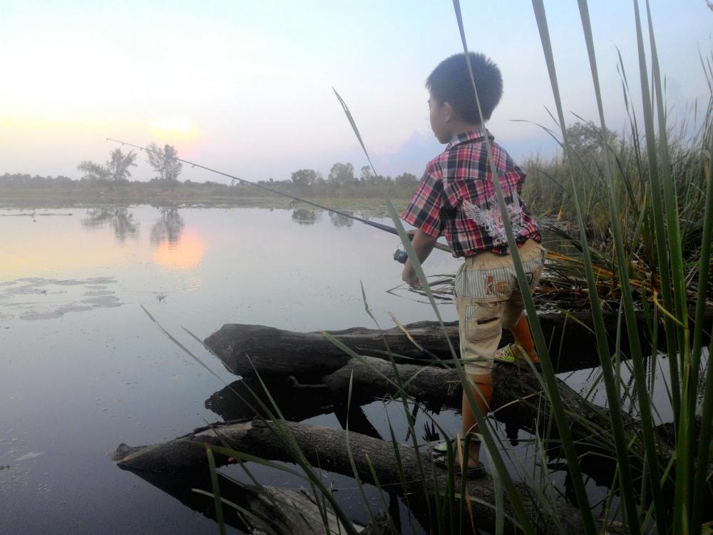 ชะโดหนองแด@อุดร