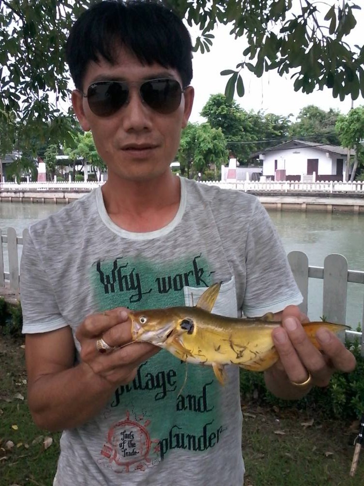 ปลากดว่า........ปลาอะไรครับ