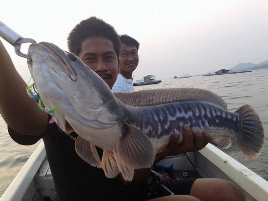 ****ตามหาไดโนซุง เจอแต่ไดโนดิ่ง****Modern lure****รวมรูป***