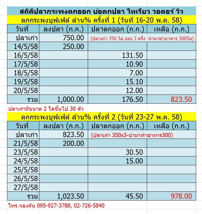 มาเก็บตกปลากระพงบุฟเฟ่ต์ ล้าน% กันดีกว่า