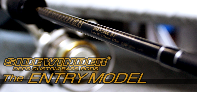 2015 SIDEWINDER THE ENTRY MODEL