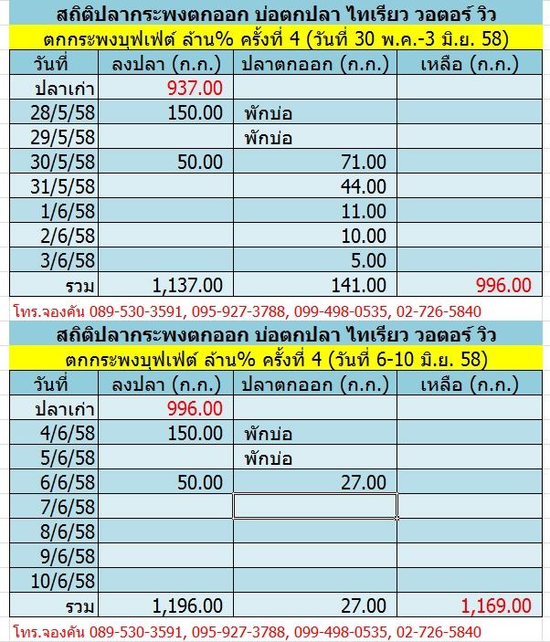  บ่อไทเรียว วอเตอร์ วิว ลงปลารอบที่ 2 สำหรับตกกระพงบุฟเฟ่ต์ล้าน% แล้ว