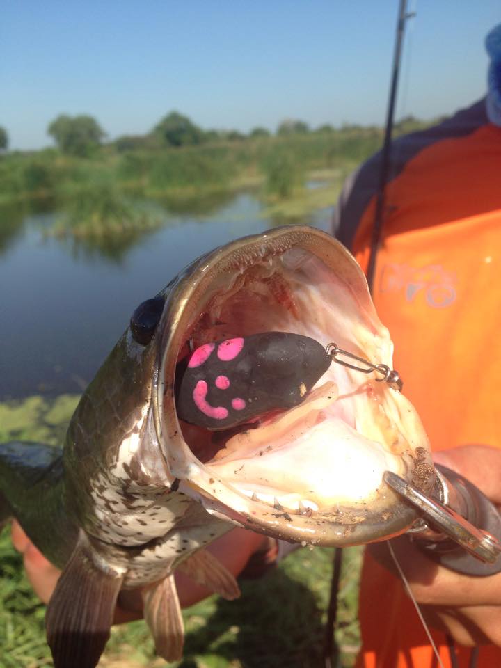 Smile Frog Lure