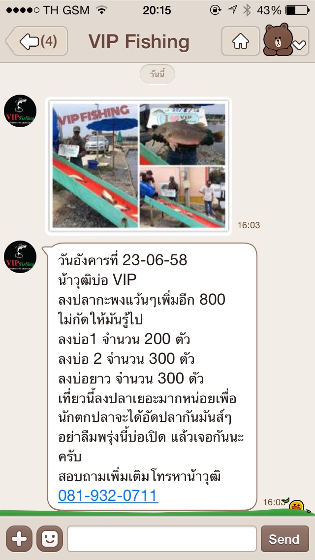 VIP จัดปลากะพงแว้นๆ เอาให้แน่น 800 ตัวไปเลย