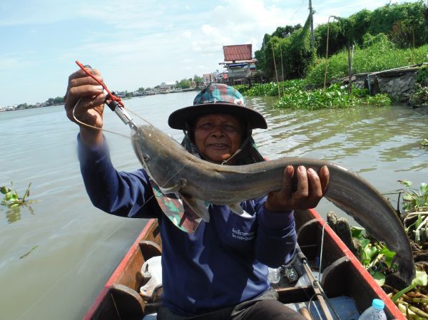 ตามหาฝันในวันน้ำน้อยๆที่เจ้าพระยา