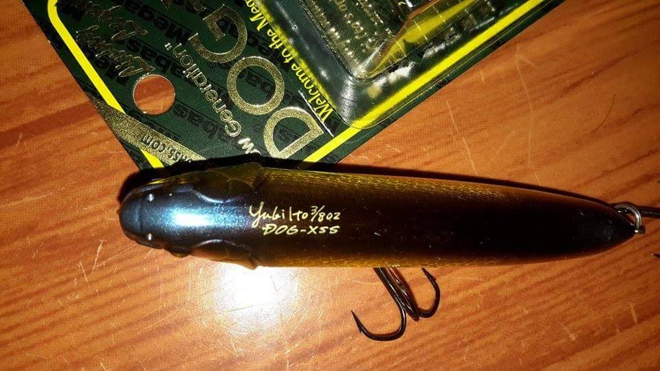 สอบถามครับ Megabass Dog-X Speed Slide ตัวหนังสือที่หลัง มันเขียนว่าอะไรบ้างครับ