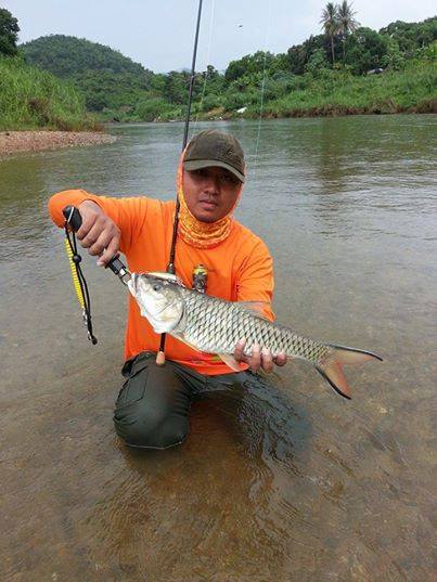 "กระสูบ" ต้นน้ำแกงกระจาน