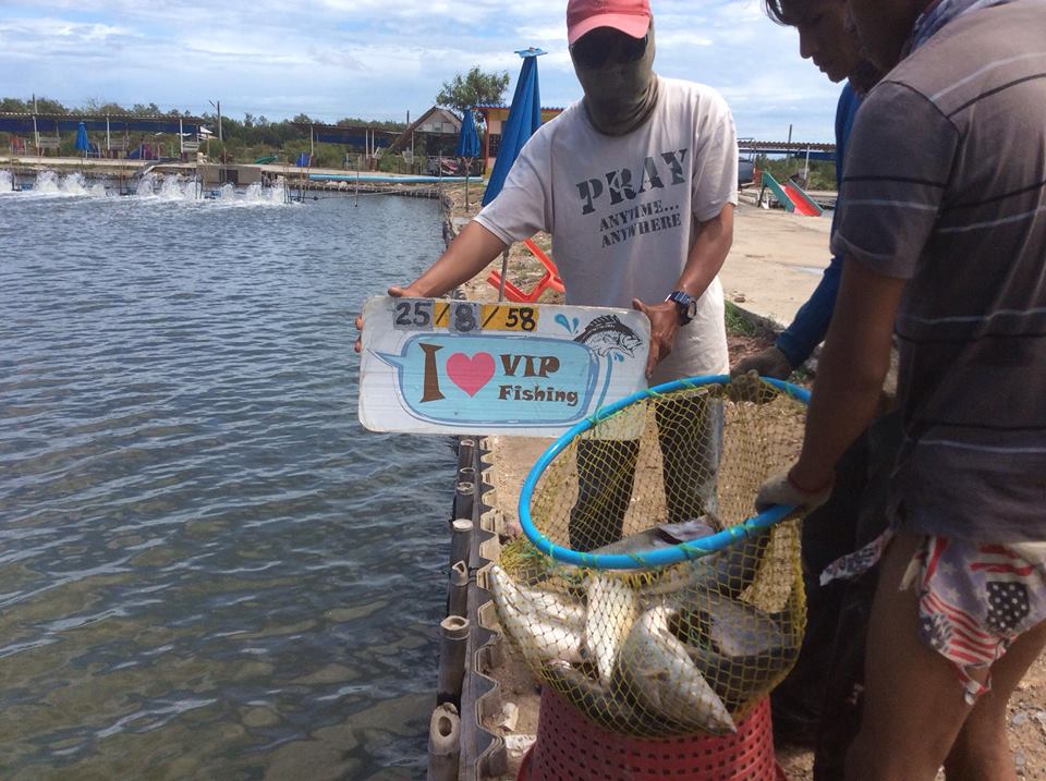 น้ำดี ปลาใหม่ โปรสุดคุ้ม จะรออะไรอยู่ที่ VIP Fishing