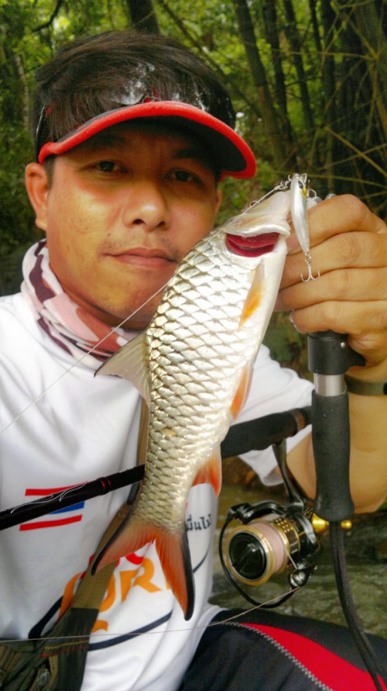 "Mustad fastach snap"ชื่อนี้..แข็งโป๊กก !!