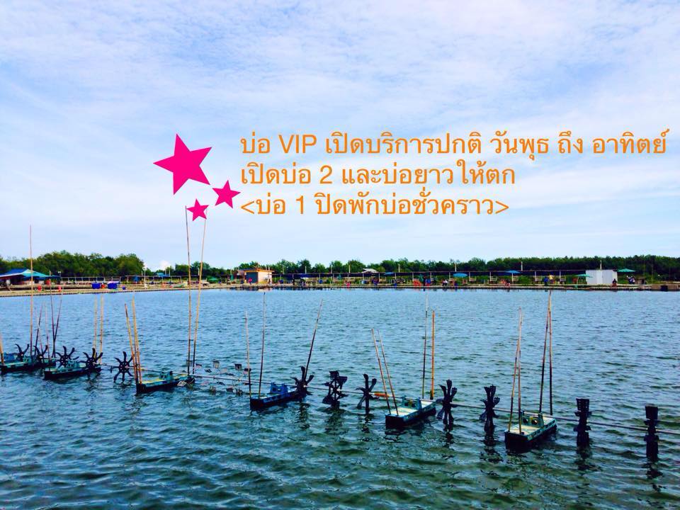 2 โปรแร๊ง!! 3 วันสุดท้ายเท่านั้น @VIP Fishing