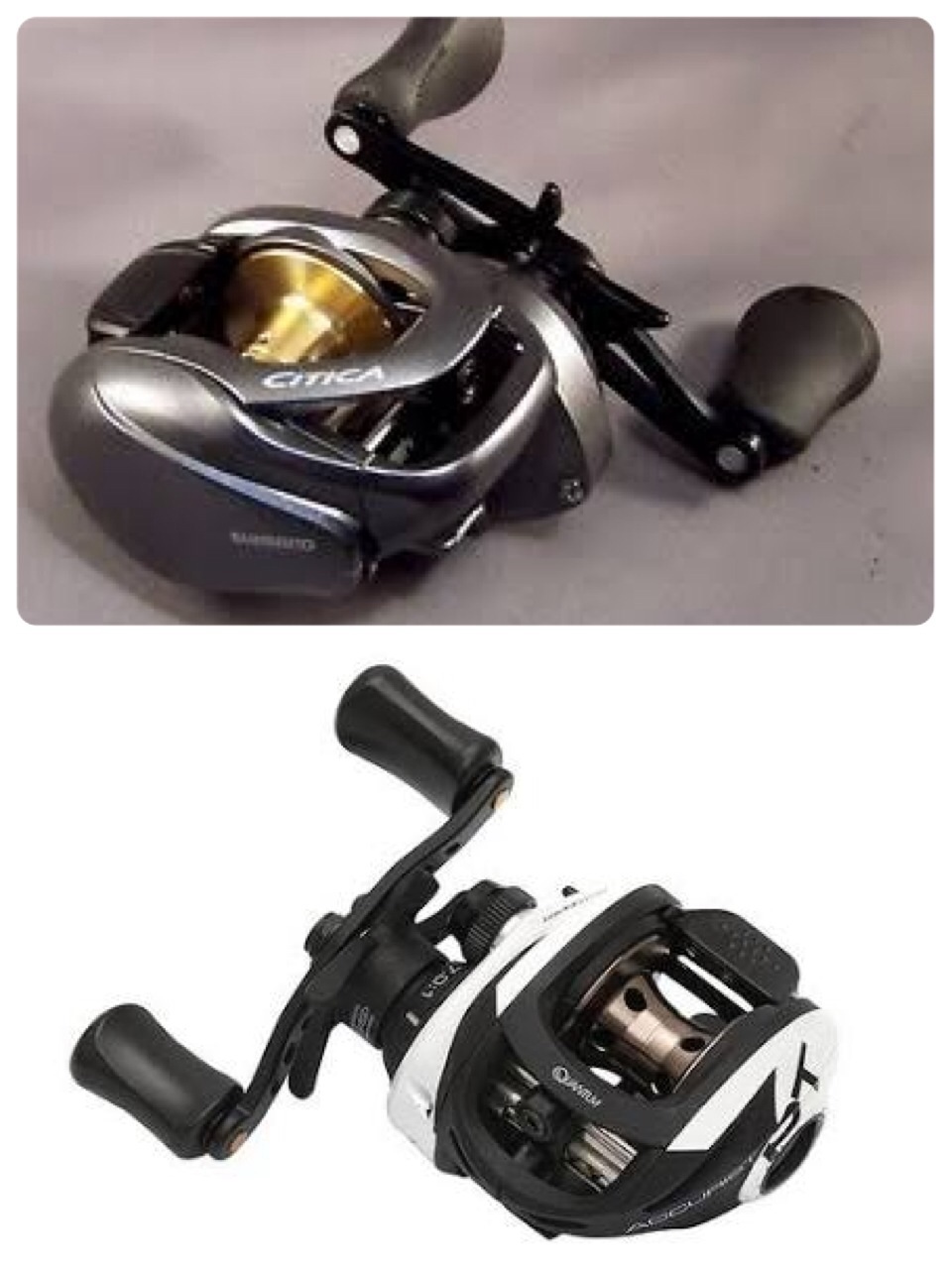 Shimano citica2015 vs Quantum accurist pt