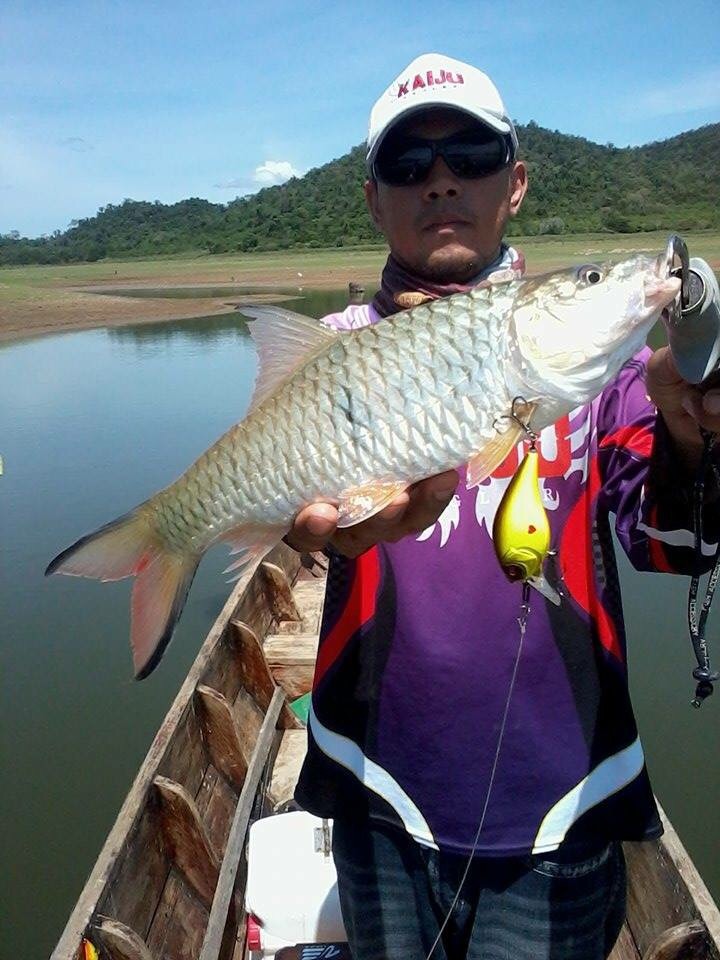 ทุกสายพันธุ์ @เขื่อนปราณ 