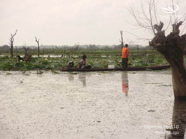 กระสูบลำน้ำก่ำ(อ.ธาตุพนม จ.นครพนม) By Bug G