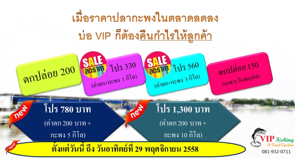 บ่อ VIP จัดใหญ่ลงปลาโลครึ่งถึง2โล 300 ตัว