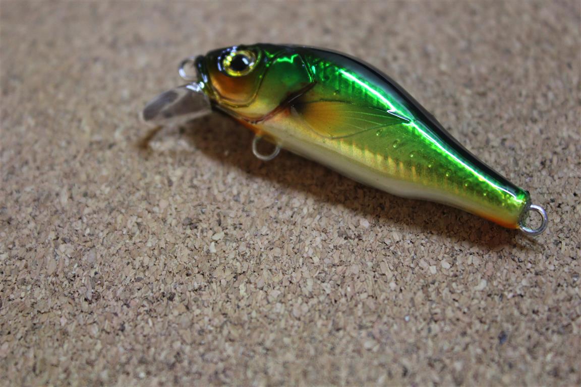 witbang EP Lure 2