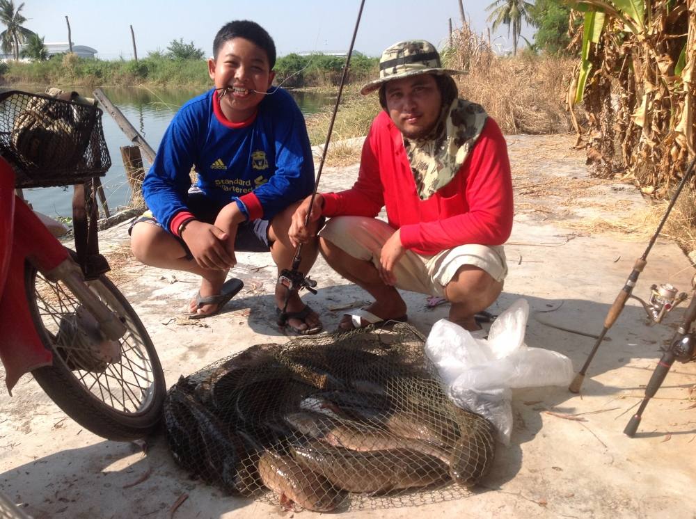 ช่อนตัวเป็นโลทั้งนั้นกับบ่อธรรมชาติแถวไทรน้อยกับตำนานใบหลิว