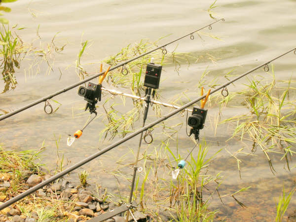 WIRELESS TRANSMITTER-RECEIVER FOR CARP FISHING by Adriano Álvarez Callejo