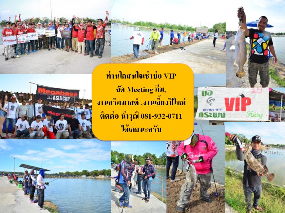 VIP ลงปลาใหม่ ซิง ต้อนรับอากาศหนาว