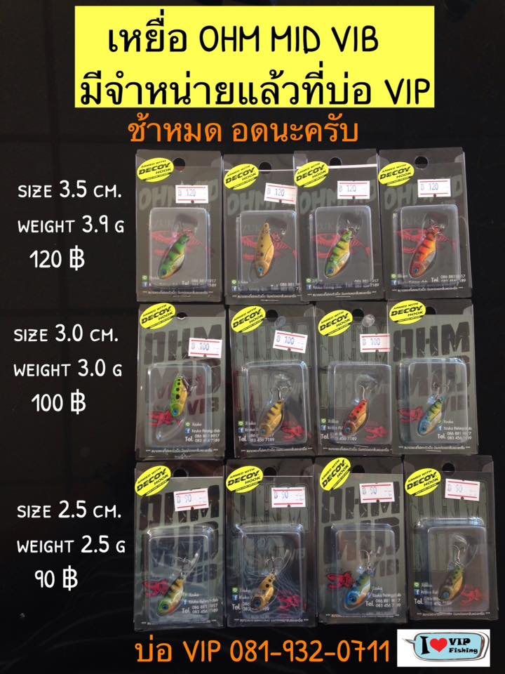 VIP ลงปลา 999 ตัว ฉลองปี 2016 